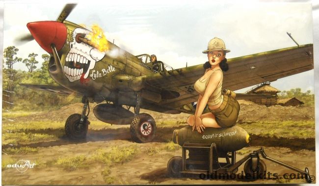 Eduard 1/32 P-40N Warhawk - EduArt Issue With Art Print and Metal Sign, 11104 plastic model kit