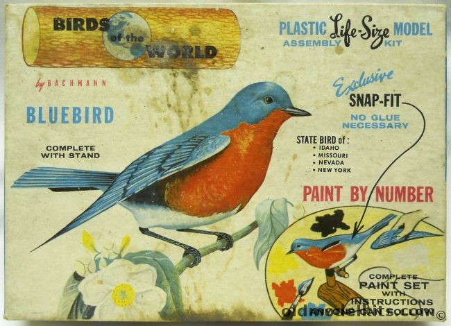 Bachmann 1/1 Birds of the World Bluebird, 9002-100 plastic model kit
